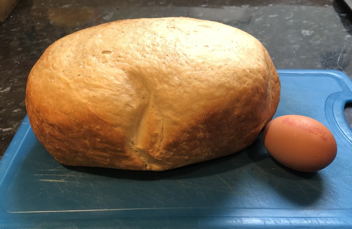 jodyleach76's tweet photo. Not bad for first bread making attempt 🍞 made in slow cooker 👍🏻 

Grew much bigger than I expected (used large egg for scale) 😆 and house smells of freshly made bread ❤️ https://t.co/GdcWcbnAQQ