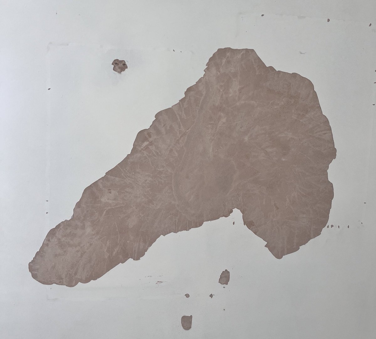 Neecie_26's tweet image. Think I’ve unintentionally scraped my wall and disclosed a map of the Southwest of England. 🤣
#SWEngland #Decorating #IHateDIY