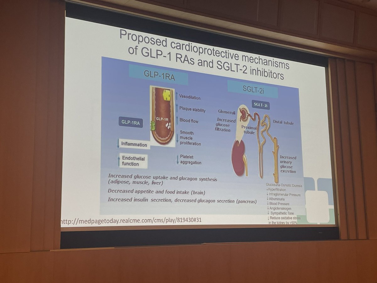 AliMehdiMD's tweet photo. This talk is just something else… learning and laughing non-stop with Dr Pantalone #CCNephUpdate24 one of the most energetic talks I’ve been to on a long time! https://t.co/qiZ9cqhpI9