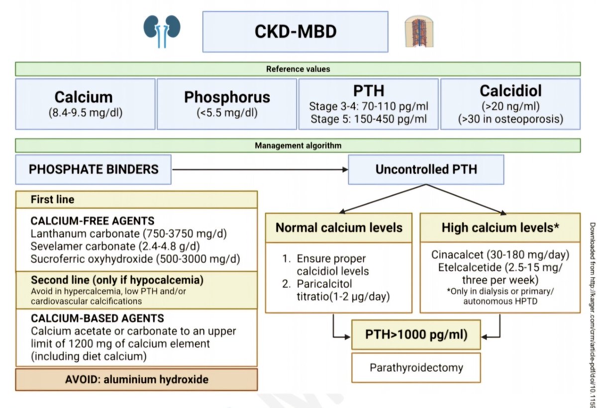 🔴  Practical Approaches to the Management of Cardiorenal Disease Beyond Congestion
#openaccess #2024Review 

karger.com/crm/article/do…
 #CardioEd #Cardiology #CardioTwitter #cardiovascular #FOAMed #MedTwitter #medtwitter #CardioTwitter #paramedic #MedX #meded #cardiotwiteros