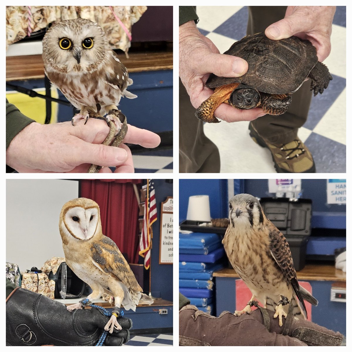 Thank you BR HSO, presenters, and parent volunteers for a wonderful Science Day! The children learned so much about bones in our body, bees, volume, and wildlife! Fun was had by all! 🐝🦉 @BetsyRossMahwah #MahwahConnects