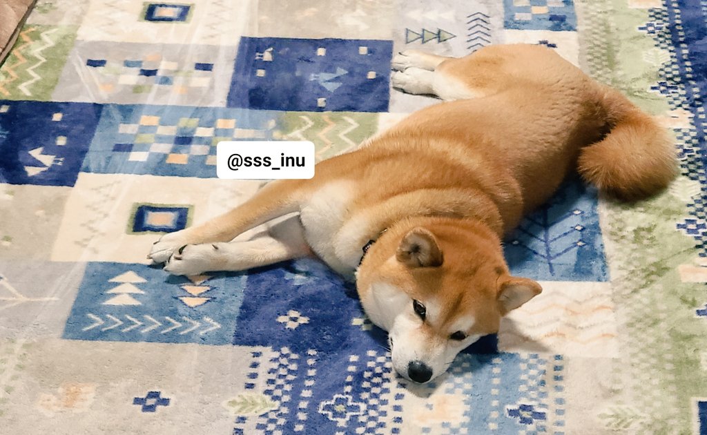 おやすみ～～😪💤💤