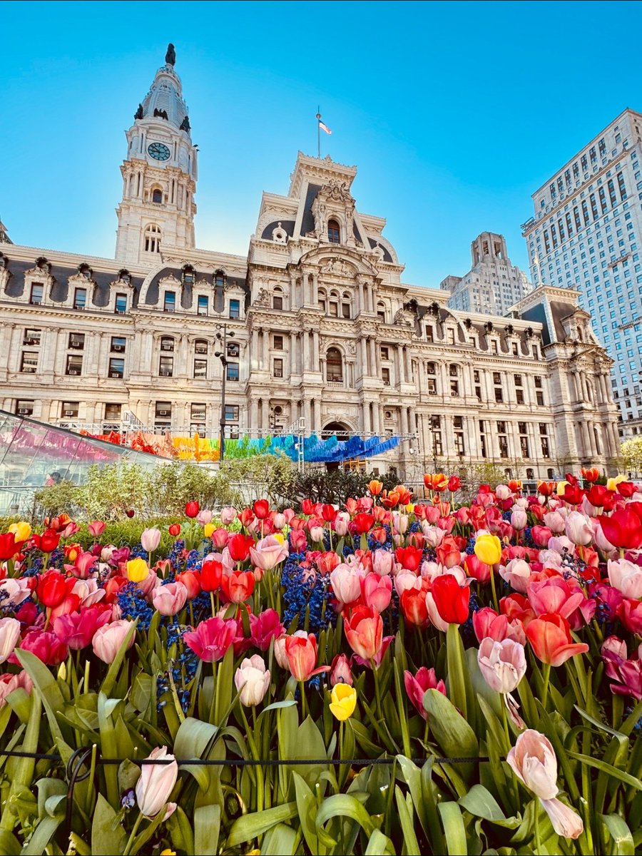 These tulips at city hall are giving us all the dopamine we need! 🌷🌷 #phillyspring #visitphilly #springvibes