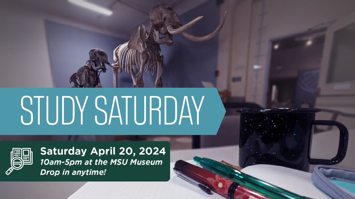 Today is Study Saturday! Drop by the MSU Museum any time 10AM - 5 PM today for free study supplies, tasty snacks, and places to chill while you work! 📚☕