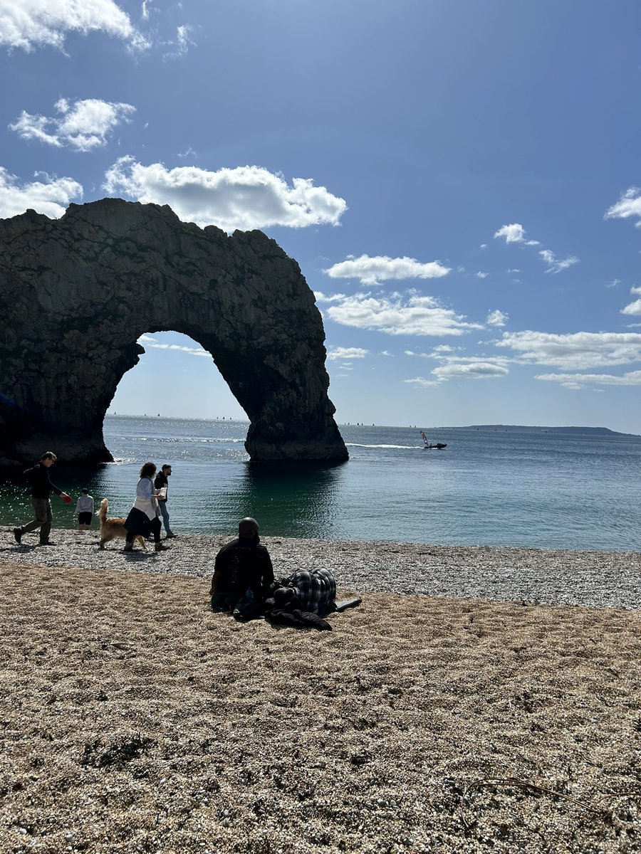 Aisa Shearing tweet media