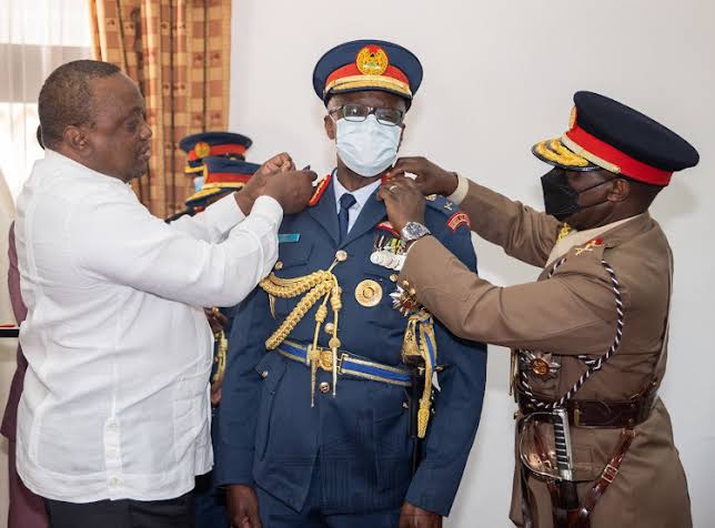 Bianca™ tweet media