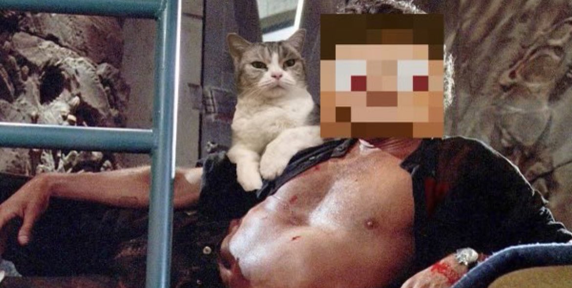 mj🚦— scar enthusiast tweet media