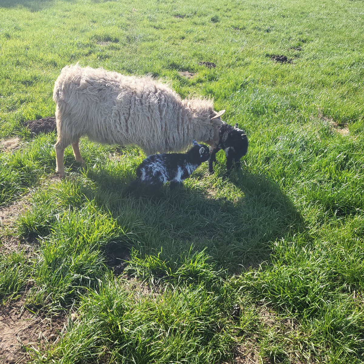 Rather smaller arrivals this morning.