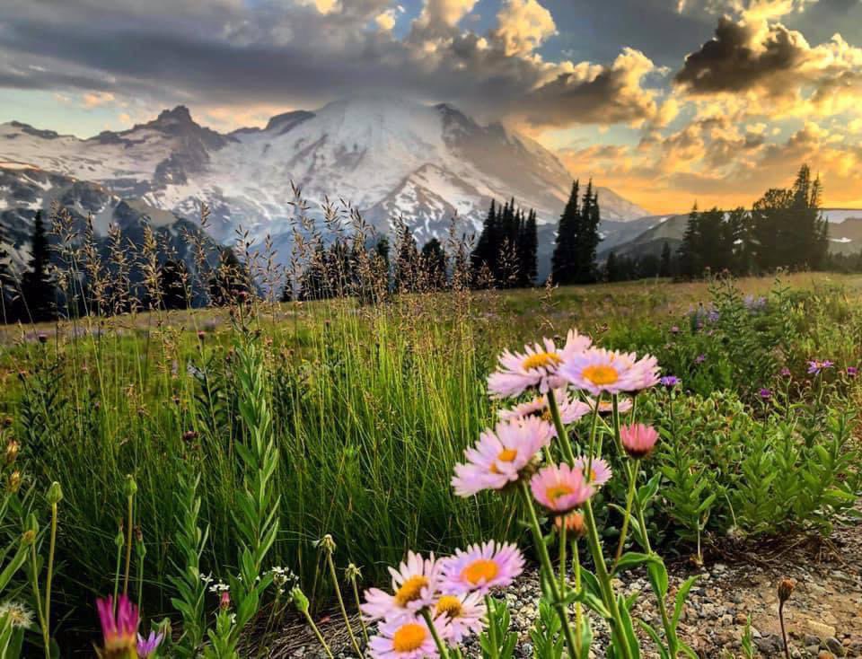 National Park Service tweet media
