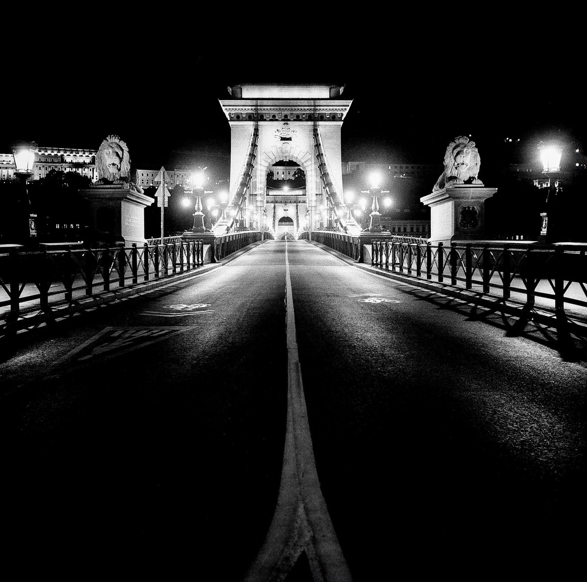 The Elizabeth bridge in Budapest. Walking at night, balancing the camera on a signpost…Yashica on Kodak trix.