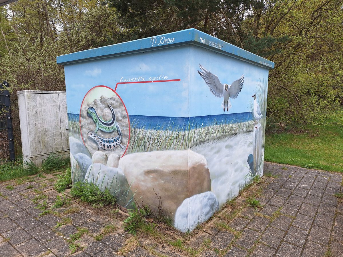 sterntaler1970's tweet photo. Geocaching mit eBike geht auch bei 5 Grad, dank neuer Mütze. #usedom #ebike #Radfahren #Wochenende #geocaching #geocache #labcache https://t.co/s0eU0iebqu