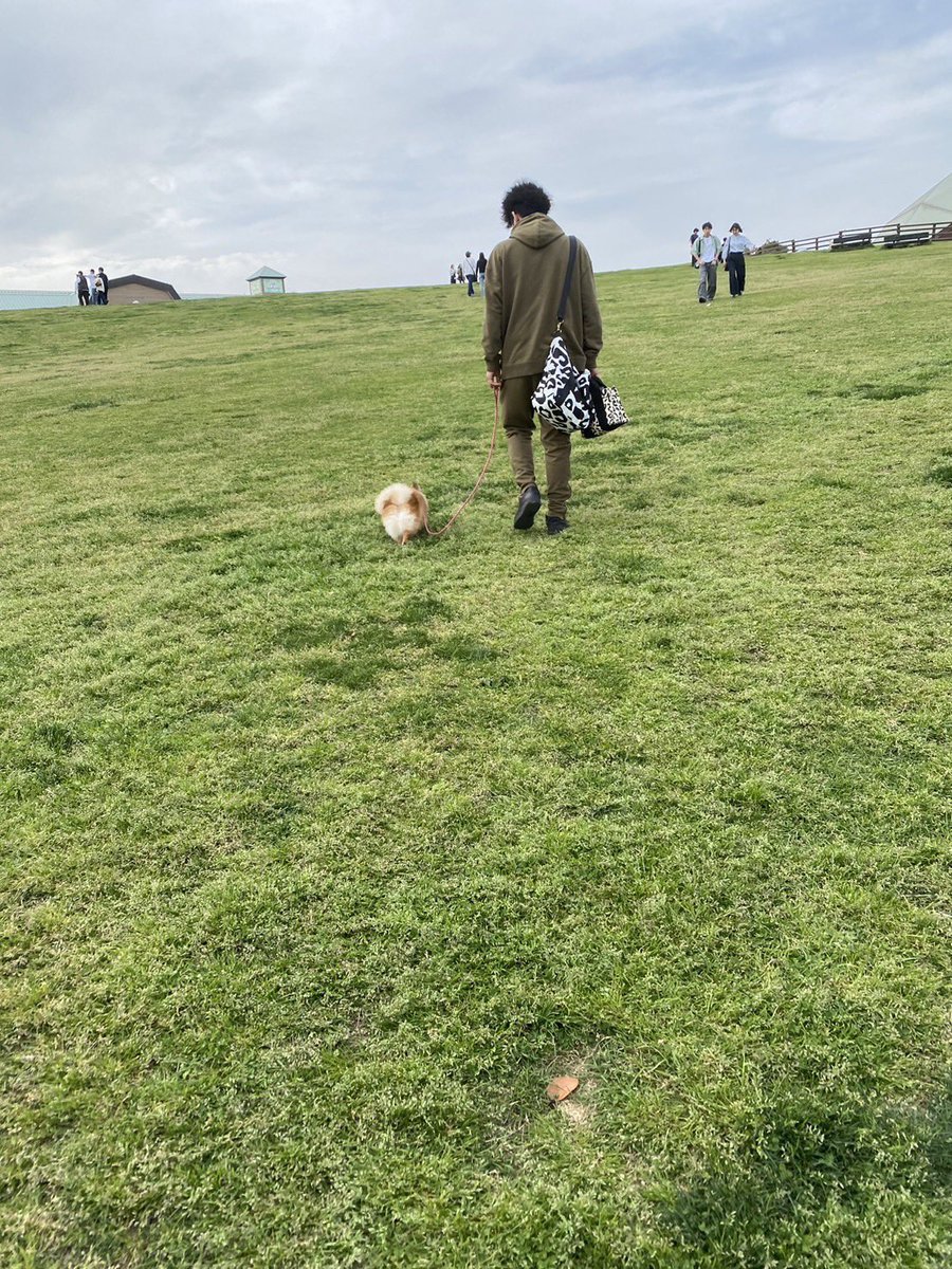 Phantom92224907's tweet photo. 九十九里🐟 https://t.co/0aCBGK45tc