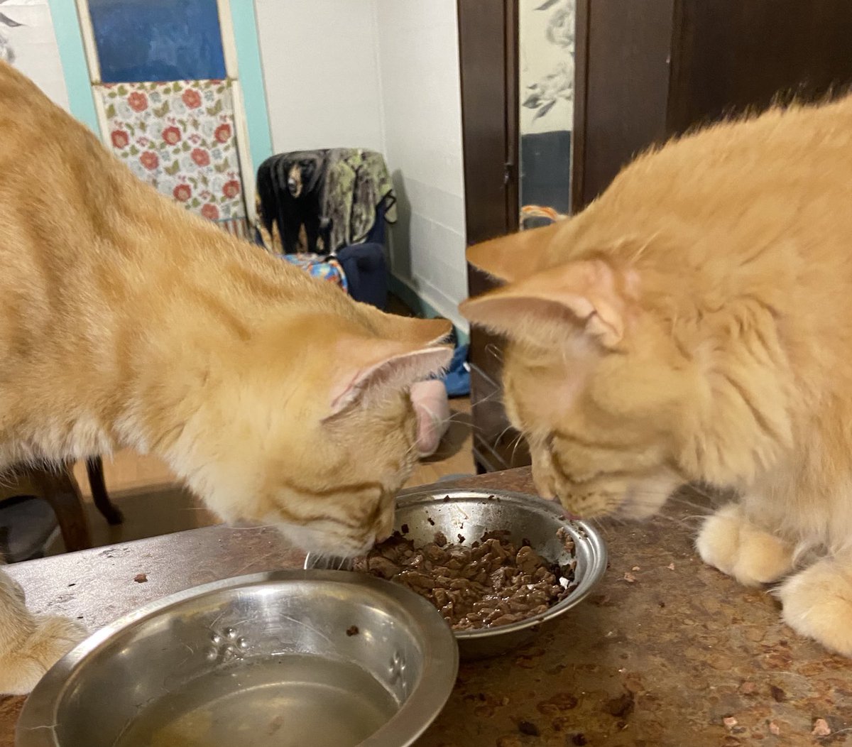 Ralph & Andy breakfasting