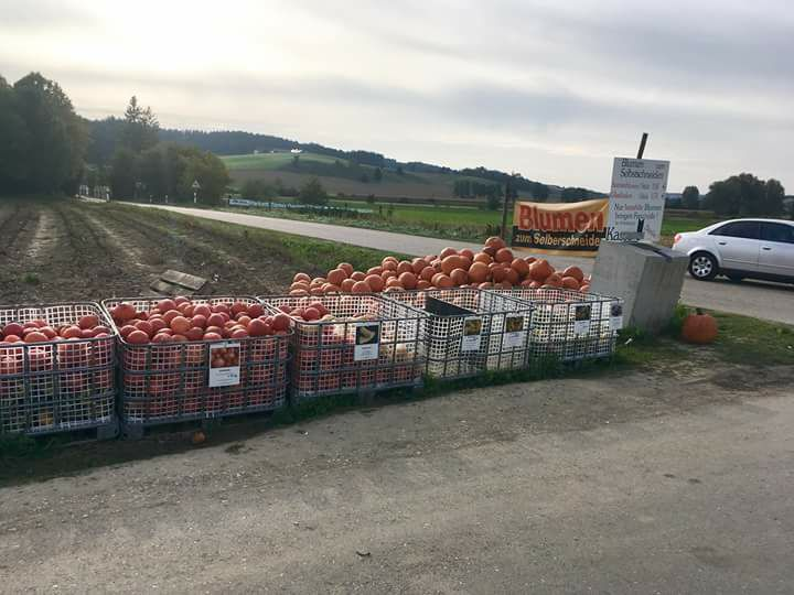 Uzaktan_Gelen__'s tweet photo. Burası Almanya. Çiftçi yetiştirdiği ürünleri tarlasında satıyor. Fiyatını üzerine yazmış ve ürünlerin yanına bir kumbara koymuş. Başında kimse yok! Kim ne aldıysa parasını kumbaraya atıyor. Kumbara tarlada başıboş duruyor. 

Bir gün biz de bu ahlakı yakalarız umuduyla.....