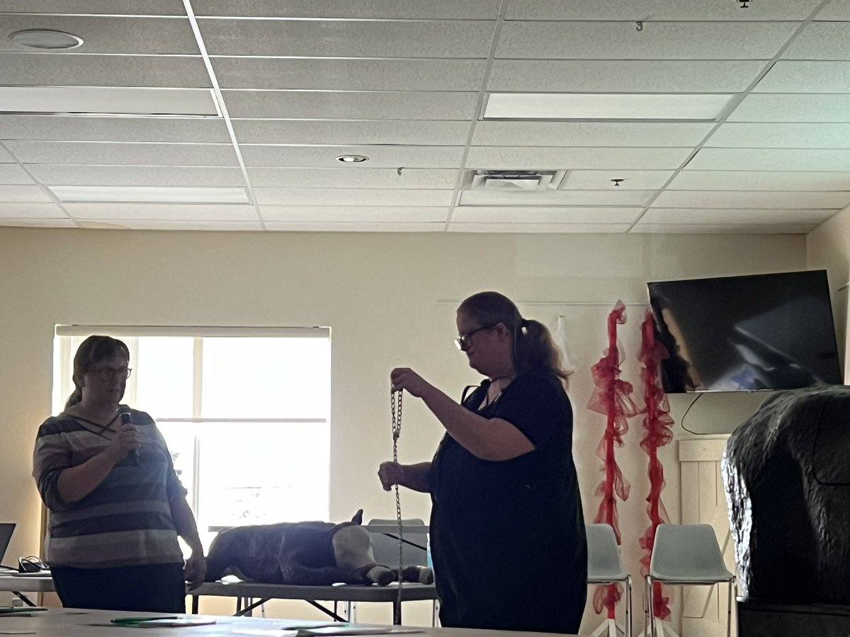 Beef Farmers of Temiskaming tweet media