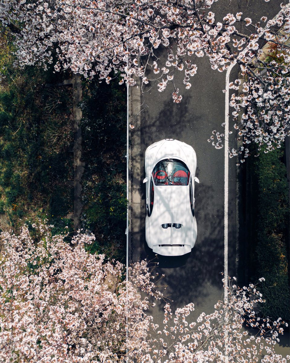 Bugatti's tweet photo. When the timelessness of BUGATTI meets the fleeting beauty of a revered Japanese symbol.

The white and red artistry of this CHIRON resonates with the delicate elegance of the cherry blossoms in spring, merging seamlessly to become one.

#BUGATTI #CHIRON
–
WLTP: https://t.co/q4VWMC2rVI