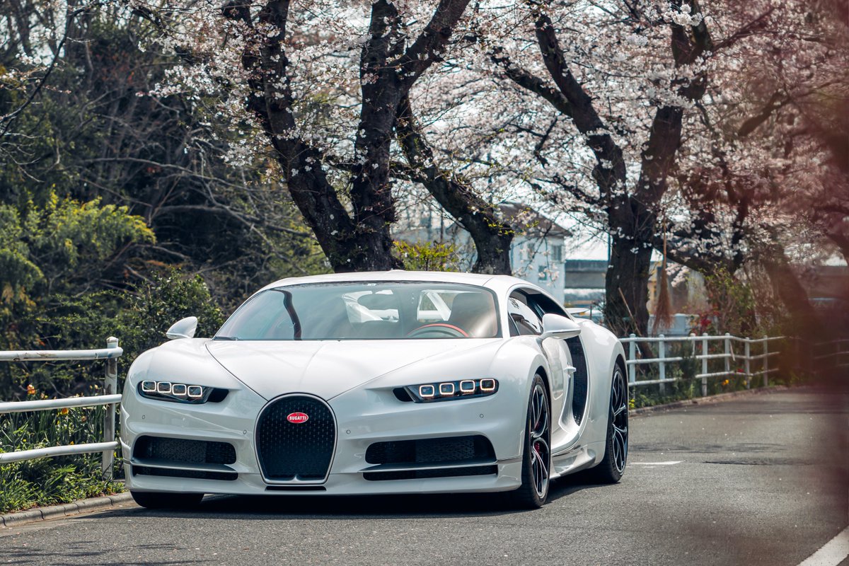 Bugatti's tweet photo. When the timelessness of BUGATTI meets the fleeting beauty of a revered Japanese symbol.

The white and red artistry of this CHIRON resonates with the delicate elegance of the cherry blossoms in spring, merging seamlessly to become one.

#BUGATTI #CHIRON
–
WLTP: https://t.co/q4VWMC2rVI