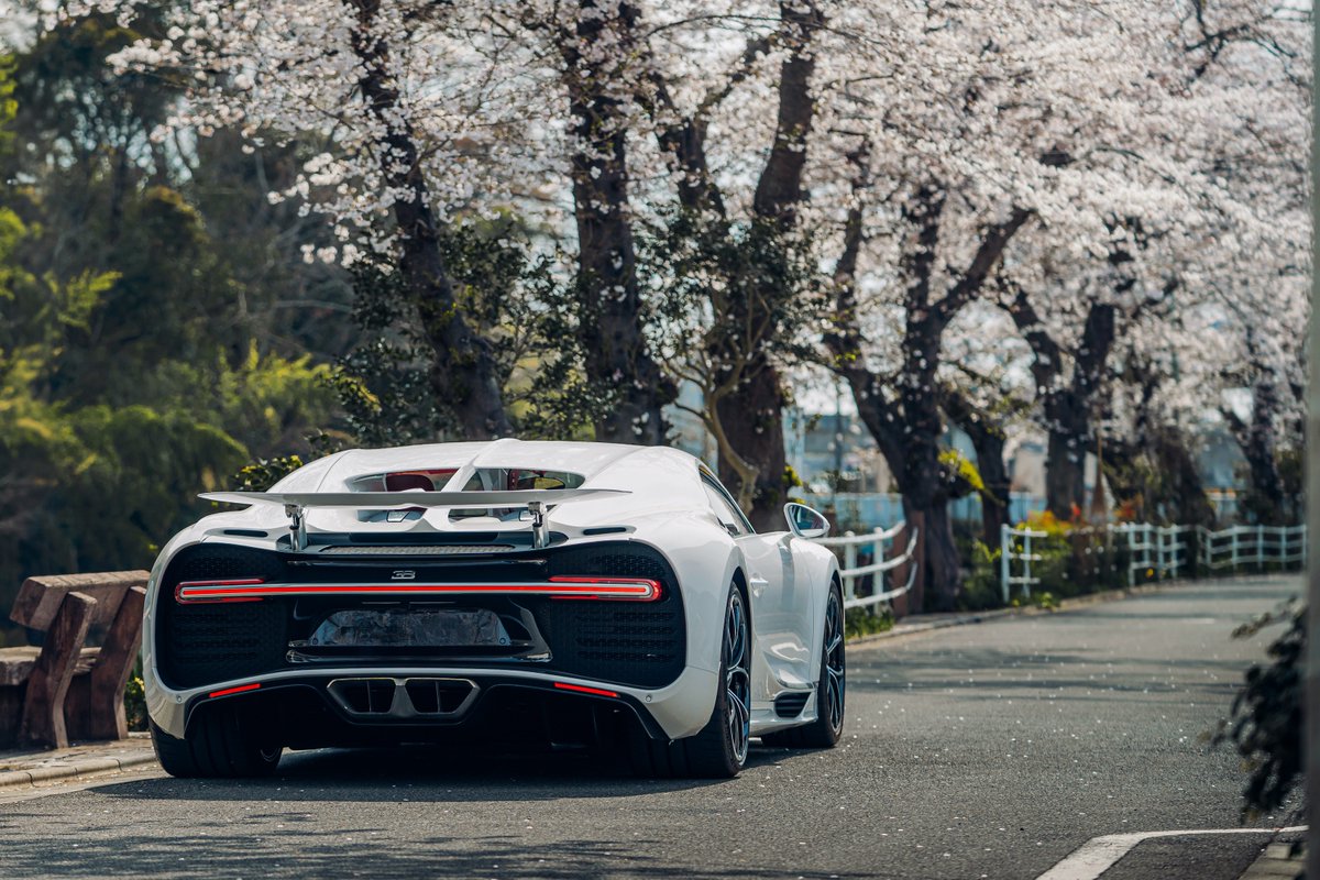 When the timelessness of BUGATTI meets the fleeting beauty of a revered Japanese symbol. The white and red artistry of this CHIRON resonates with the delicate elegance of the cherry blossoms in spring, merging seamlessly to become one. #BUGATTI #CHIRON – WLTP:…
