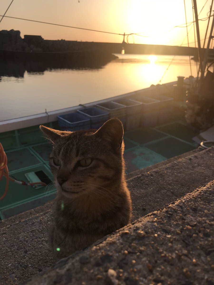 ta0911's tweet photo. ロケ。
@小呂島 https://t.co/KCBGuL9HZe