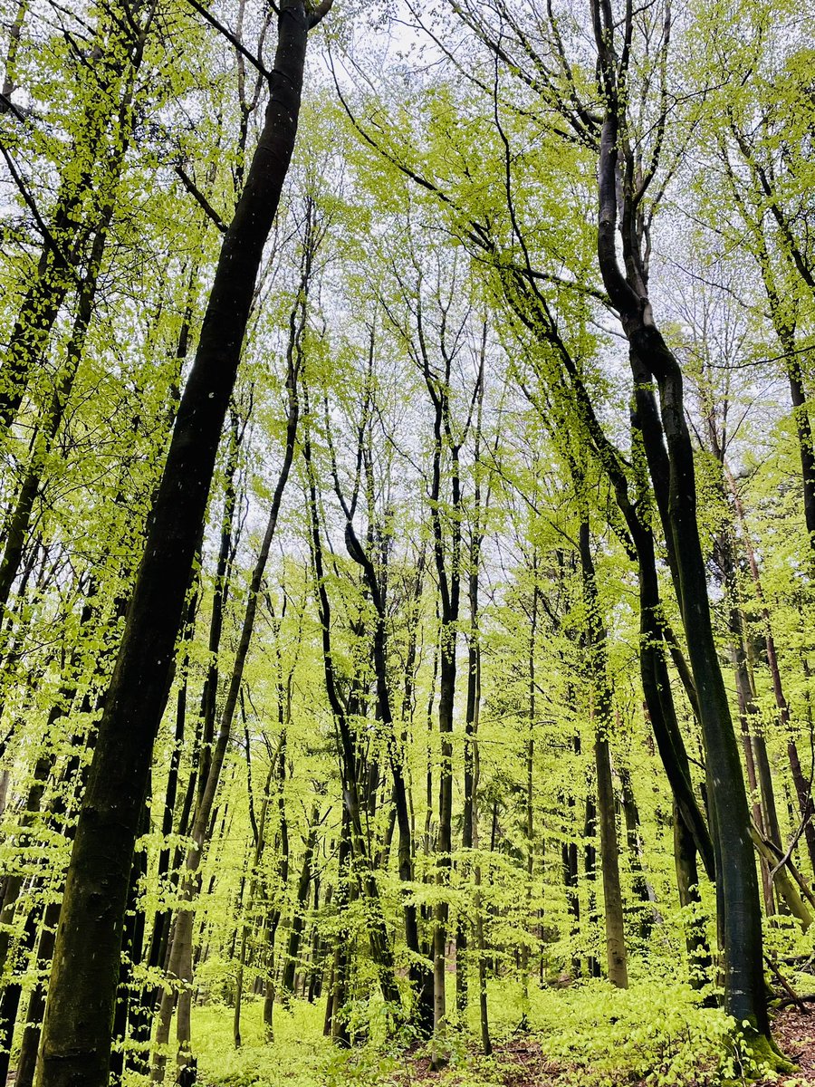 Schönes Wochenende Euch allen…!