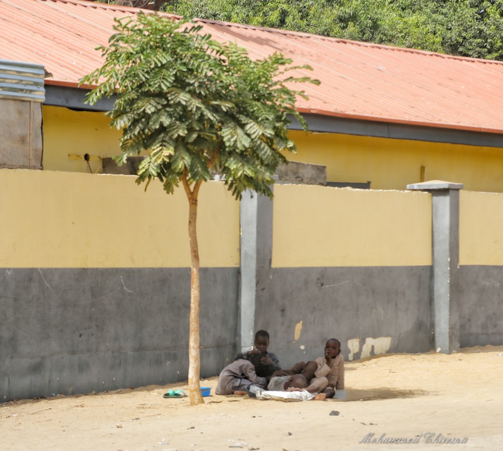 Ya_Moduu's tweet photo. Importance of #treeplanting . Rahma Monguno and Kaka kyari Monguno planted this tree in the names of their late fathers, and today, people are benefiting from the shade.
Don't just complain of the heat but plant trees.
#Maiduguri
#Borno_State.
#TreePlantingChallenge https://t.co/Lvp2t1S1zM