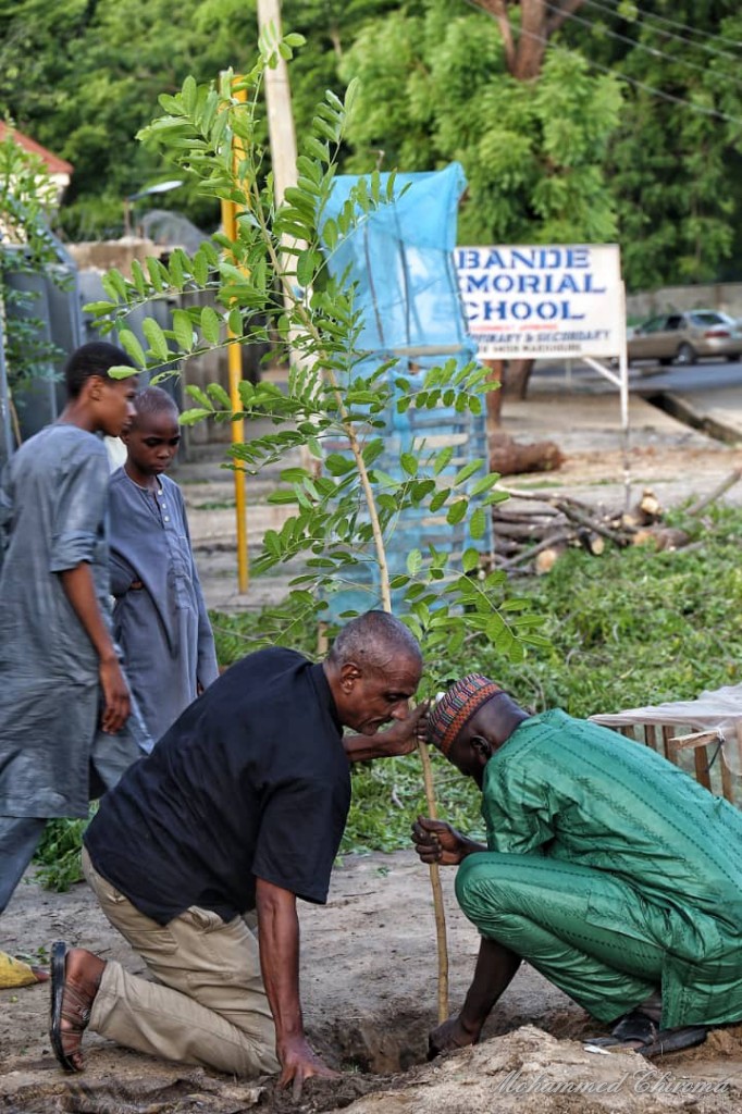 Ya_Moduu's tweet photo. Importance of #treeplanting . Rahma Monguno and Kaka kyari Monguno planted this tree in the names of their late fathers, and today, people are benefiting from the shade.
Don't just complain of the heat but plant trees.
#Maiduguri
#Borno_State.
#TreePlantingChallenge https://t.co/Lvp2t1S1zM