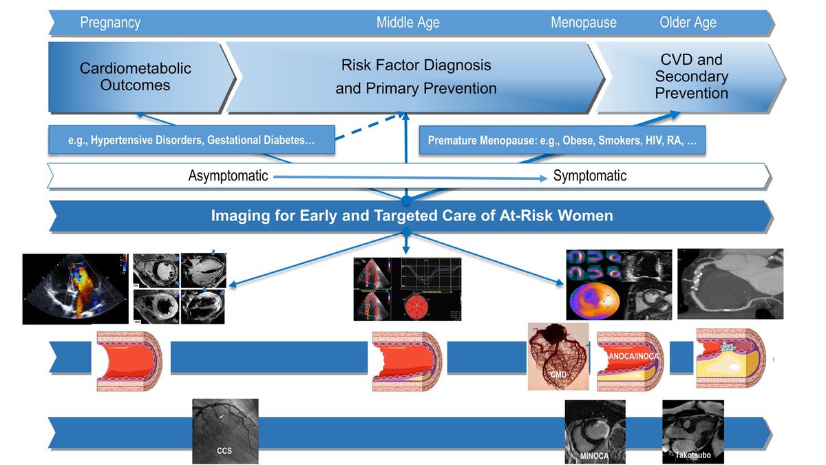 April's #EHJCVI  features studies on fibrosis in advanced HF, new AI apps 🤖, CVI in women♀️ and novel #echofirst tools in amyloid🍏 . Editor’s choices highlights mammography-based 🦣 coronary calcification models.  Also: Image Focus📸 AND much more academic.oup.com/ehjcimaging/is…