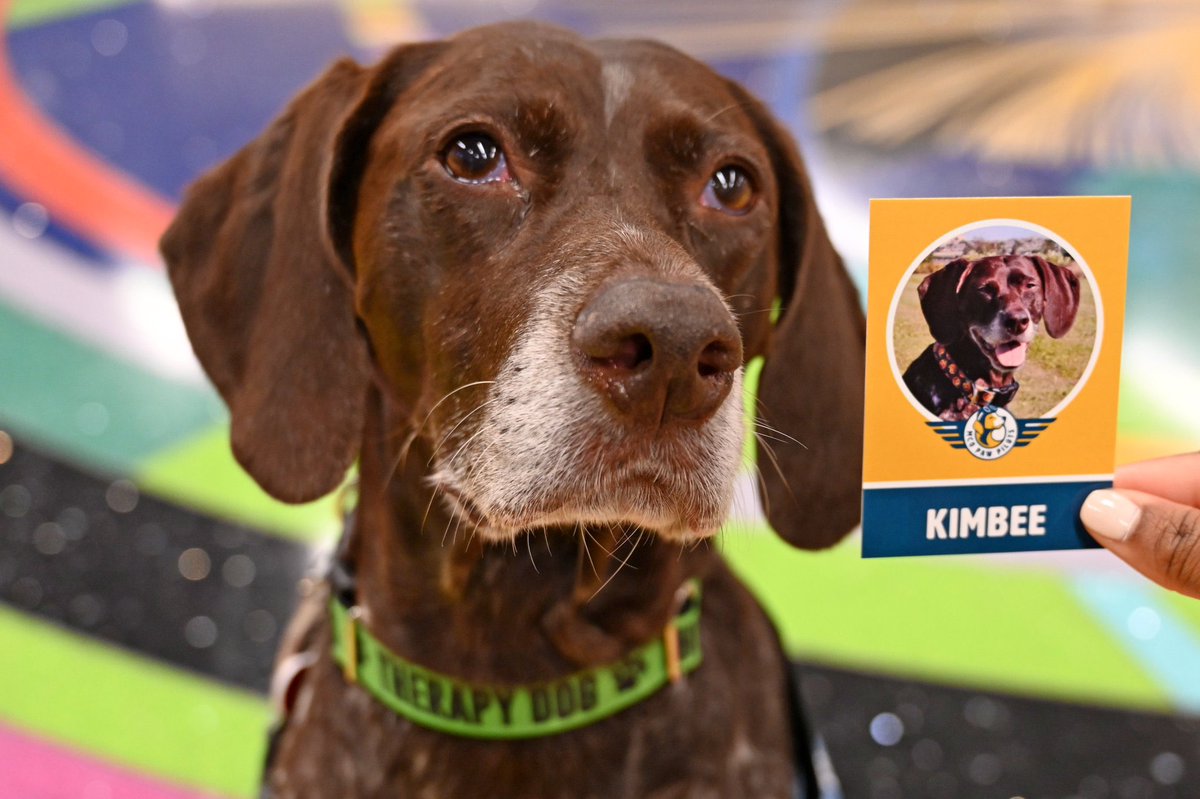 The weekend’s here and we’re here for the pawsitive vibes! 🥳 If you’re passing through today, stop by the A/B Food Court area from 10am-12pm to meet our #MCOPawPilots, Kimbee. She can’t wait to see you there, fur real! 🐶