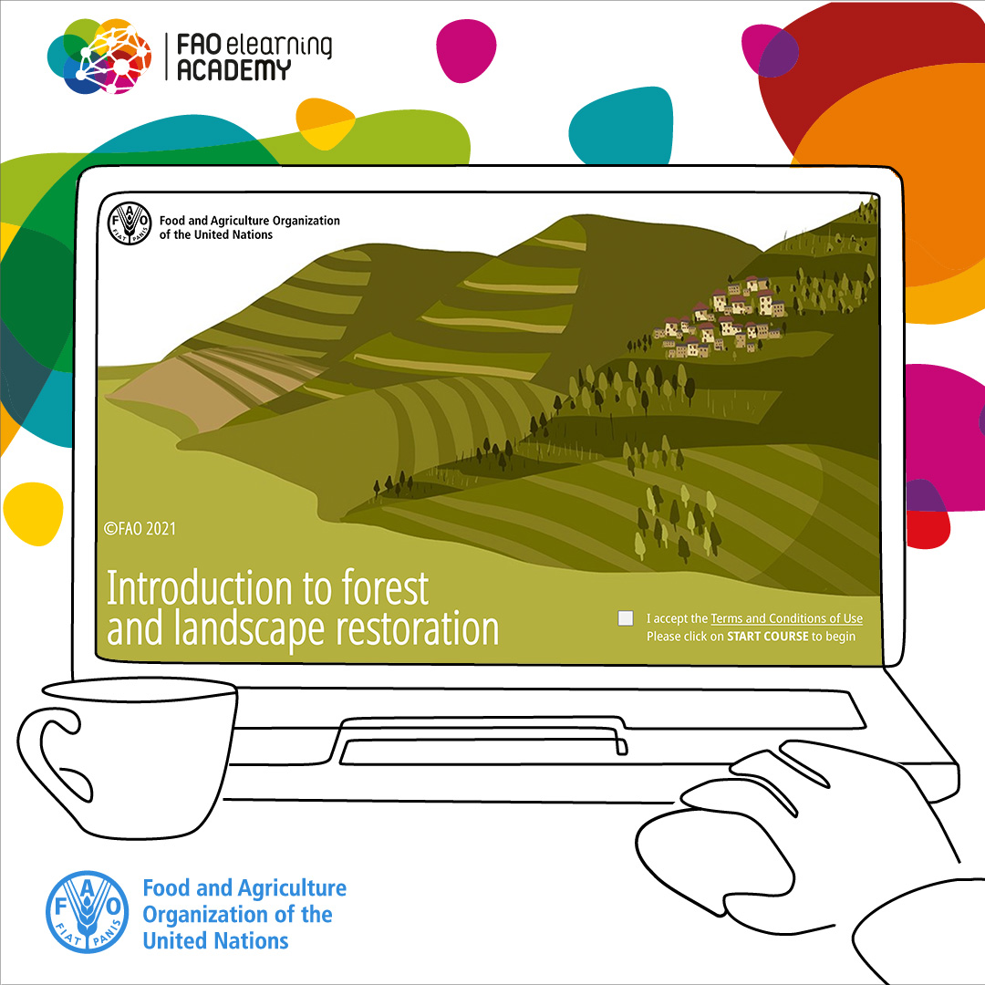 Want to learn more about the key concepts and steps of forest and landscape restoration? Dive into the most consulted free online course in the @FAO elearning Academy catalogue! Introduction to forest and landscape restoration 👉 bit.ly/3jgYcC4 #GenerationRestoration