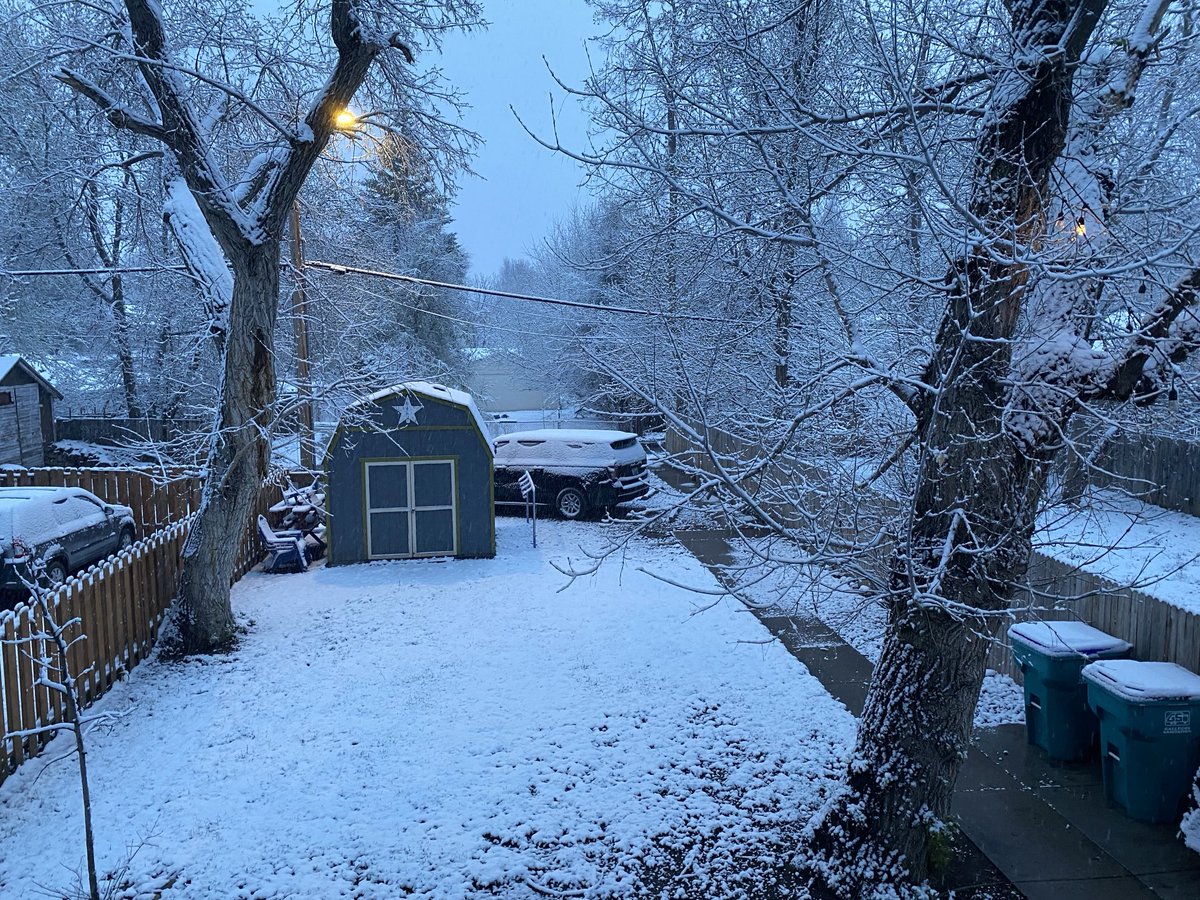 Dougie Vipond tweet media