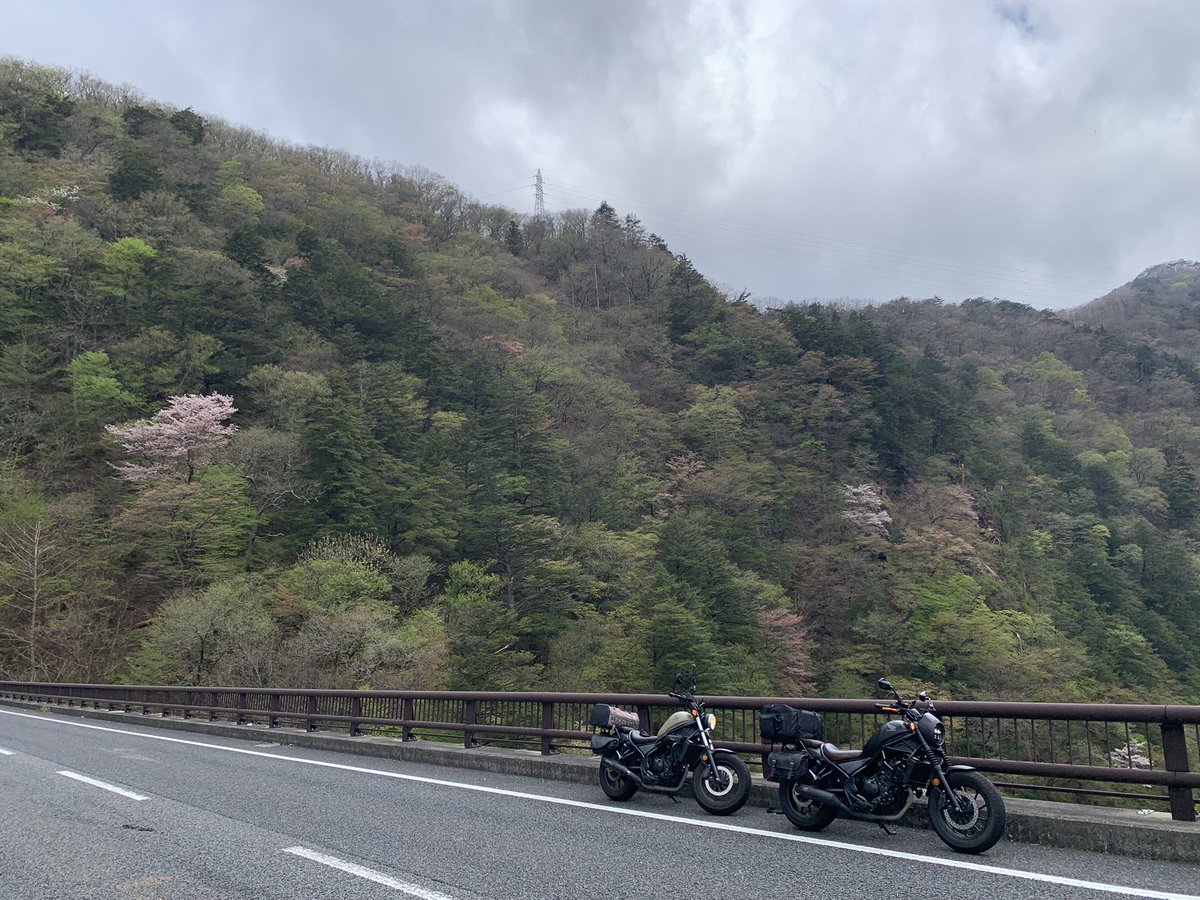 samuraikaa3's tweet photo. 満開の桜と共に北上した1026kmの旅🌸
残念ながら今年の磐梯山ゴールドライン、磐梯吾妻レークライン、磐梯吾妻スカイライン再開通には少し早くて走れなかったけれど、「またね！」とご機嫌のRebelsでした🏍️🏍️✨✨ https://t.co/eS7EjpsK7t