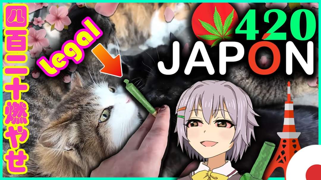 MundoYui tweet picture