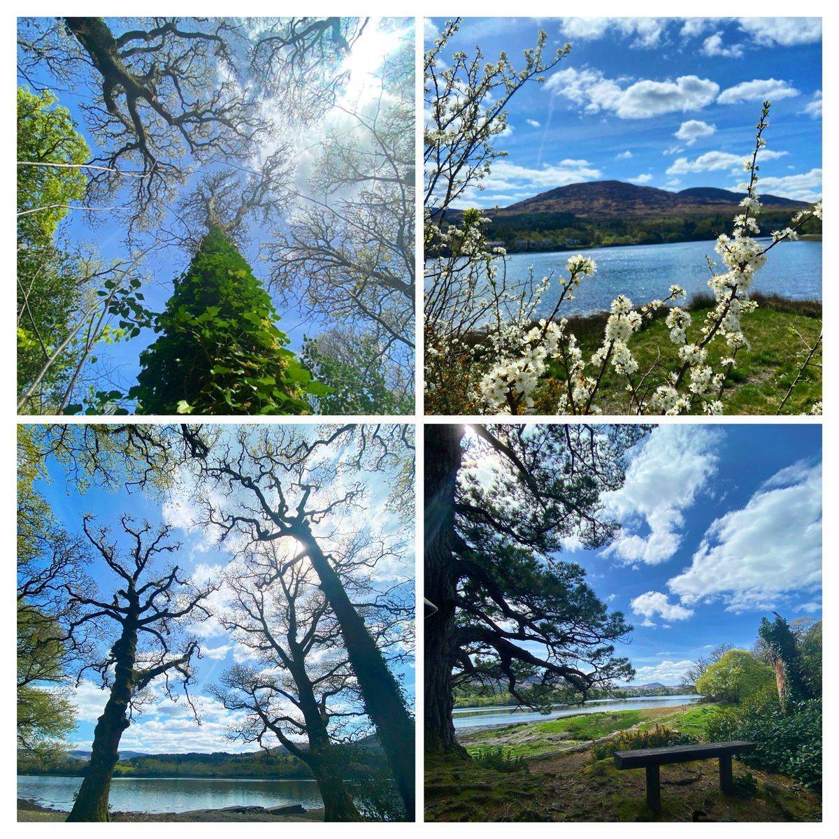 Lovely heat in the sun today…a gorgeous #spring day! ☀️ #April20th #Reenagross #Kenmare #Kerry #Ireland #StormHour