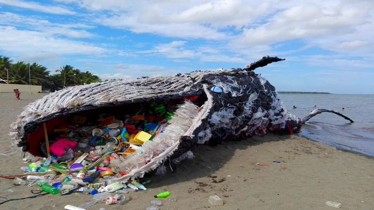 'Plastic pollution is a global issue: killing wildlife, contaminating our oceans and waters, and lasting far longer than it is used.” ~Leonardo DiCaprio
Certainly, we need to handle plastic pollution before it handles us.
#PlasticPollution #Oceans #Wildlife #ClimateEmergency