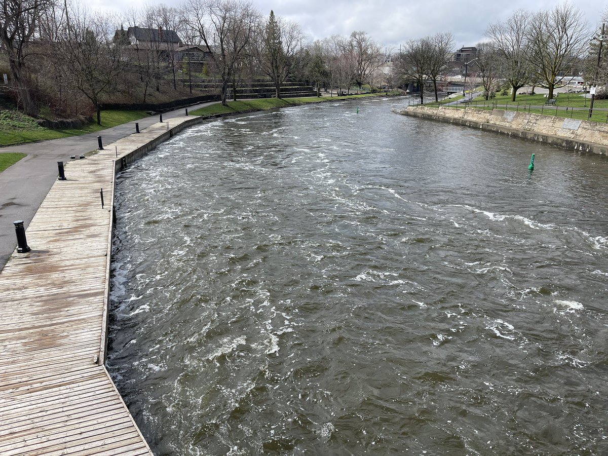 FishHardDave's tweet photo. Man, what a difference a few weeks make! We went from being seriously concerned about water levels & spawning habitat to high water levels in a matter of weeks! Hoping that this leads to a successful spawn! #HighWaterLevels #SpawningAreas #WeirdSpring https://t.co/TofkufWVrp