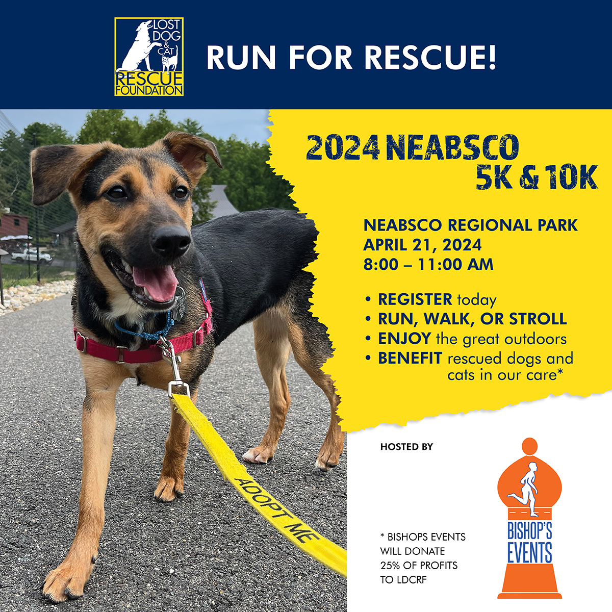 🏃‍♂️🐾 Lace up your running shoes and join us for a morning of fun at the Nebasco 5k/10k! ] There’s still time to register and make a difference for the pets at LDCRF. Sign up now and help us cross the finish line in the race to save lives! 🏁❤️ ow.ly/GuJm50RknOA