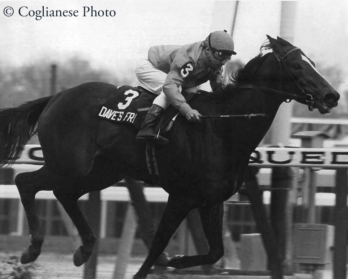 Happy birthday to Maryland Thoroughbred Hall of Famer Dave's Friend! Bred by Robert Beall, who trained him for the first half of his career, Dave's Friend won 17 stakes races and earned just over $1 million in his 64-race career. He was voted #MDBred Horse of the Year in 1980.