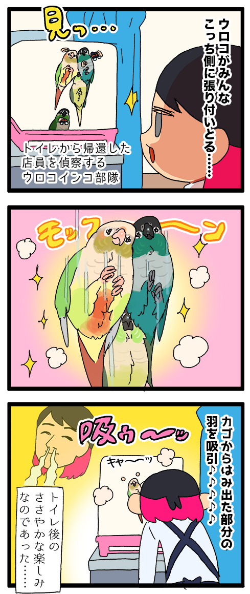 ウロコインコ、好奇心旺盛すぎて気付くとめちゃくちゃ密集してこっちを見てる👀
1099 #えるポピの絵日記かくところ
