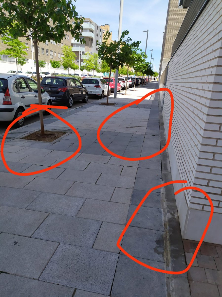 MaikaAlvarez2's tweet photo. Buenas tardes

Os paso la situación insalubre que tenemos en El Cañaveral (Madrid), los peques no pueden jugar al balón en la calle. No se puede pasear sin pisar suciedad. Hay miles de bichos y bacterias. Una pena que un barrio tan nuevo este tan sucio y descuidado  @Lineamadrid https://t.co/QllpnQm2y8