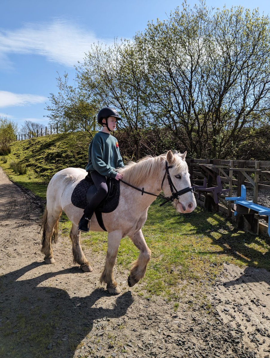 So proud of this boy, his passion, and his effort…
#autisticjoy #rockyrockster @ClyneFarmCentre