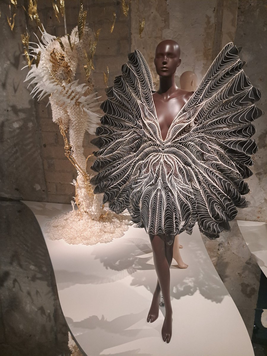 Visions futuristes @madparisfr @Paris @VisitParisIdf @ParisJeTaime #Expo_IrisvanHerpen #IrisvanHerpen #visitparisregion #musee #exposition #paris