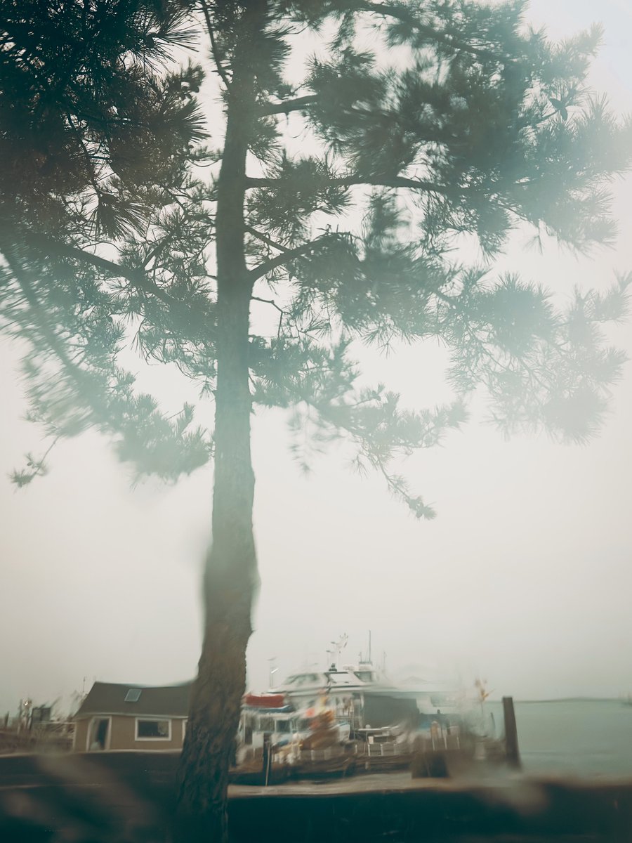 Walking in the rain and fog is like living inside a Monet painting, except you’re slowly getting soaked and there’s no one selling overpriced prints.🎨 #ImpressionismGoneWrong #Provincetown #capecod