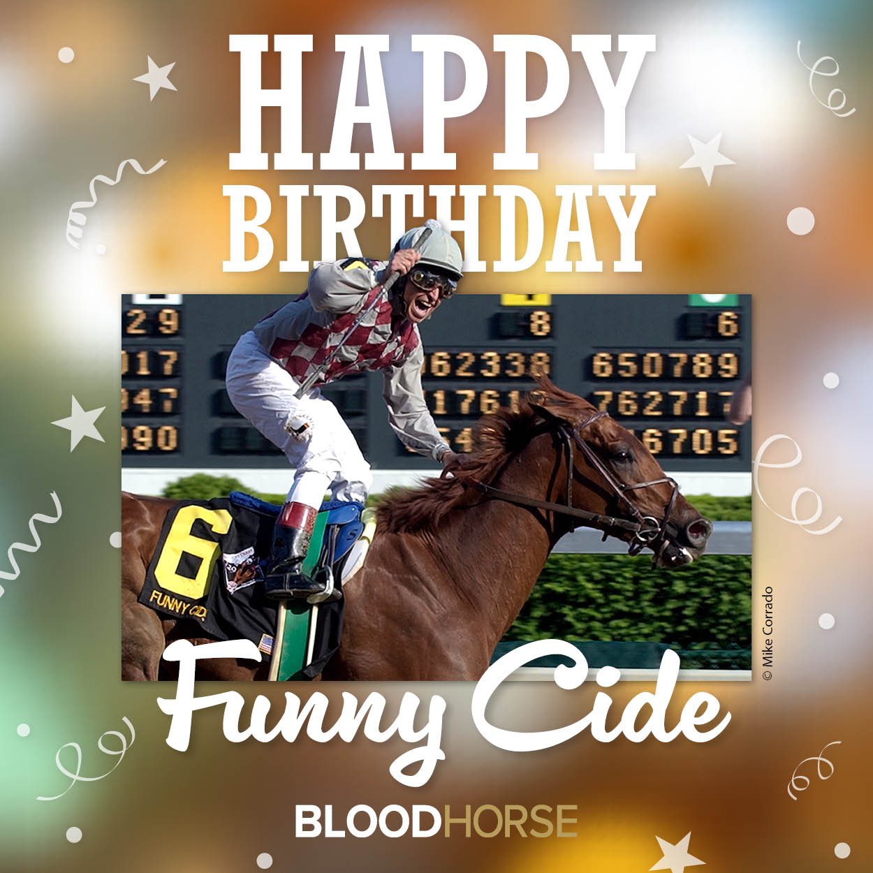 Kentucky Birthday Memes Happy Birthday, Kentucky