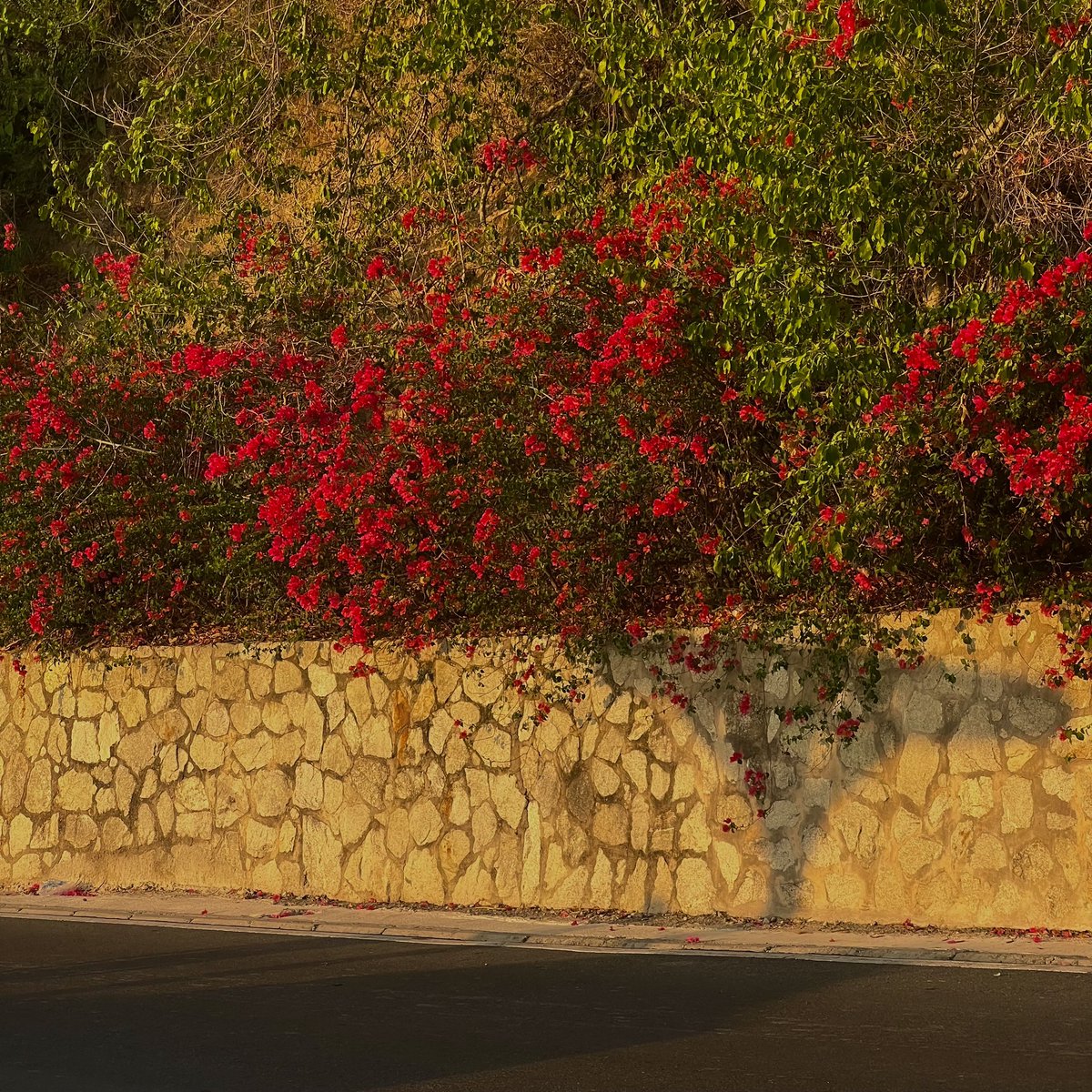 มุมน่ารัก บางแสน 🌸

#บางแสน