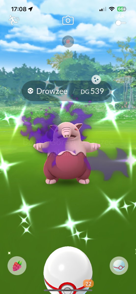 I Caught a Shiny Shadow Drowzee🐷‼️ ✨✨✨
#ShinyPokemon #ShinyCheck  #PokemonGO #ポケモンGO #色違い #色違いポケモン