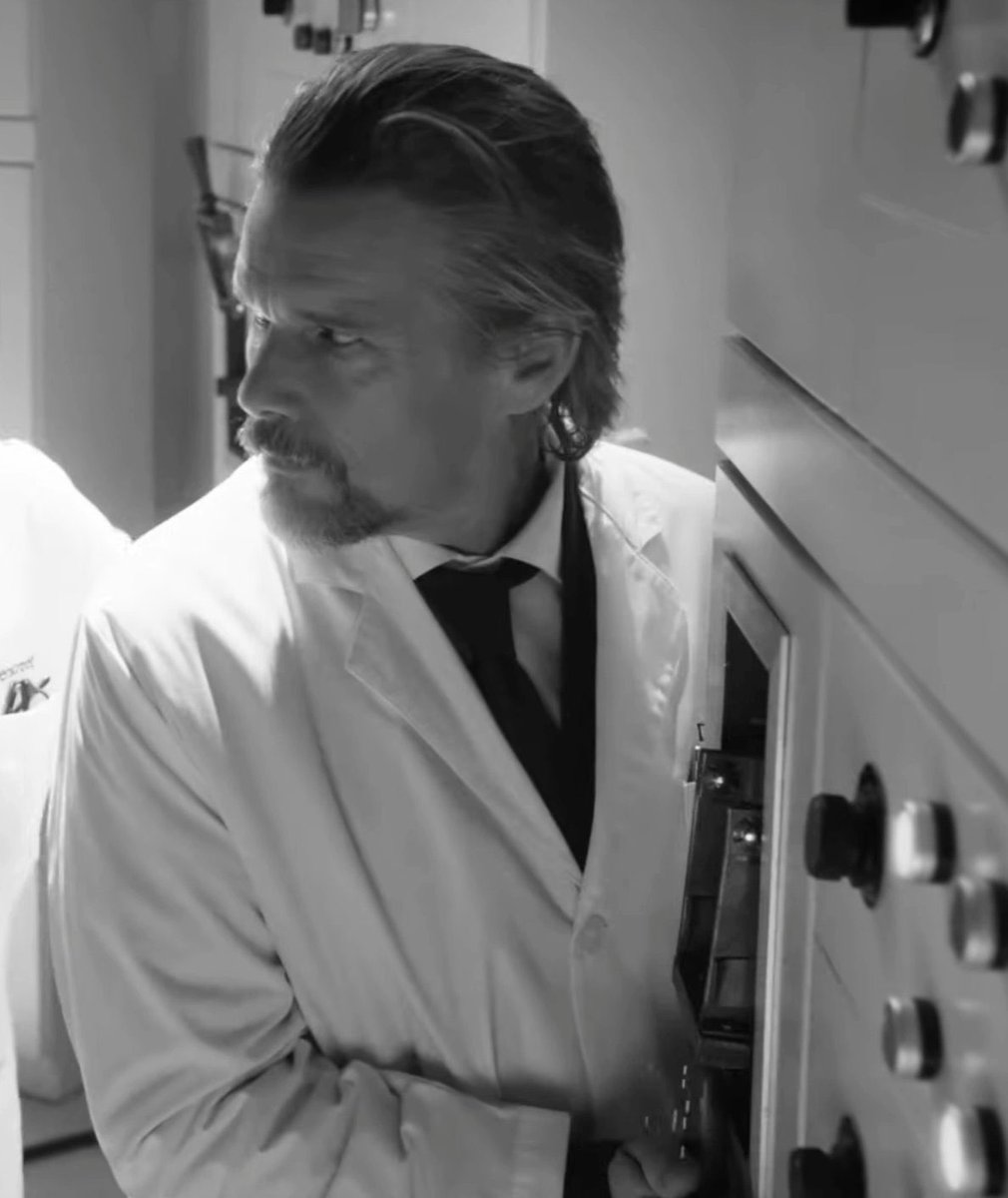 didn't expect ethan hawke to be serving cunt in a taylor swift music video but i'm glad it's the world we live in