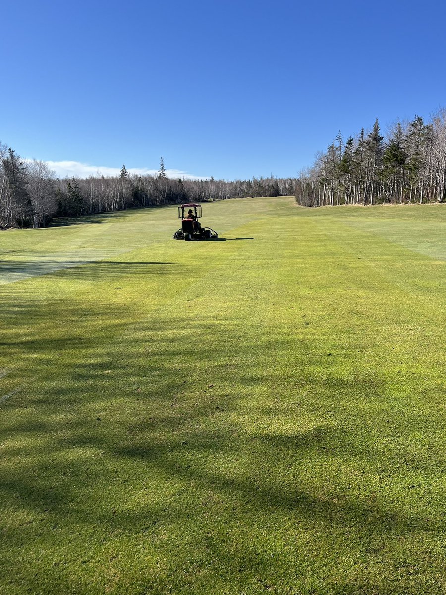 GreenGablesTurf's tweet photo. Great first week of having first round of staff back to get 2024 season started!
Mowing of surfaces started✅
Irrigation primed and audits✅
Debris picking and blowing✅
Mechanic setting & tuning✅
#itsuponus #may3 @BenKing_20 https://t.co/Ukxfu70v4D