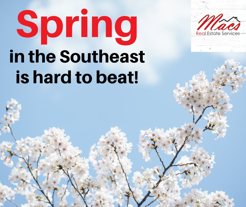 The Southeast has some of the most beautiful blooms, and Spring just hits different here. Thinking of a move to South Carolina? We would love to help!

#Spring #Southeast #SCRealEstate