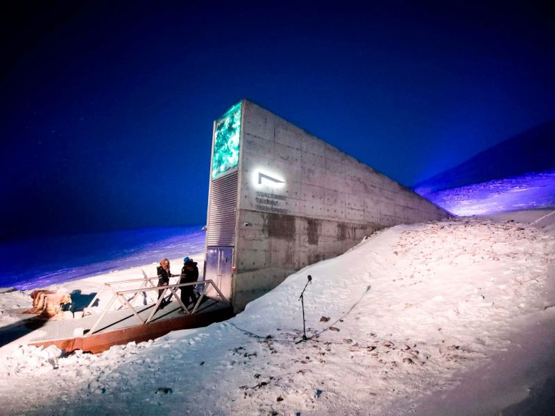 mitch_hinrichs's tweet photo. I'm so grateful this exists.
Just in case we destroy everything.
It helps me sleep at night.
Tucked away deep in the permafrost of Norway lies the Svalbard Global Seed Vault.
It is the ultimate backup for humanity's agricultural legacy.
So many of our agricultural seeds are now extinct.
But thanks to this project's forethought, we can rest a little deeper knowing that so many varieties from across the world are stored securely for future generations.
As of June 2021, the Seed Vault protects 1 million different crop samples, preserving more than 13,000 years of humanity's agricultural history.
And it has the capacity to hold 4.5 million seed samples (500 seeds in each sample) or 2.25 billion seeds in total.
The room is kept at -18ยบF / -27ยบC with limited oxygen to slow the seed's metabolic activity and preserve its germination capabilities.
And the building's design, deep in the permafrost, ensures that even with an electrical failure, the vault would maintain a low temperature and keep the seeds safe for decades.
Most of the seeds stored are grains (70%), but the vault does contain some hallucinogenic plants, such as cannabis and opium amongst other rarer plants.
And recently, Indigenous groups have started contributing,
In 2015, representatives from Parque de la Papa in Peru deposited 750 samples of potatoes.
In 2020, the Cherokee Nation became the first US tribe to contribute to the vault, adding nine samples of heirloom food crops that predate European contact.
Whatever the future holds, I'm hopeful that we, as a collective humanity, will see the value in preserving the long legacy of agricultural seeds.
One day they might be our saving grace.
