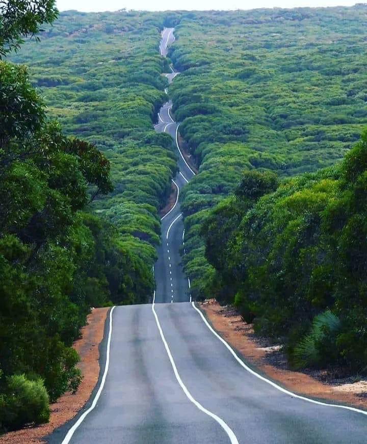 Beautiful Gembu Road in Taraba state, Nigeria 🇳🇬